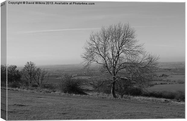 Dunstable Downs Canvas Print by David Wilkins