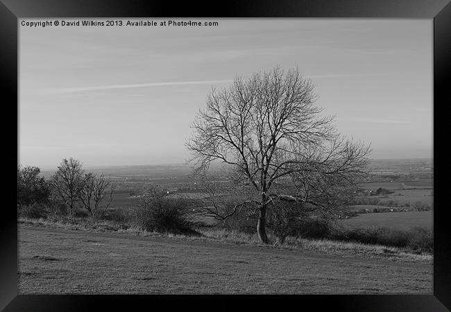 Dunstable Downs Framed Print by David Wilkins