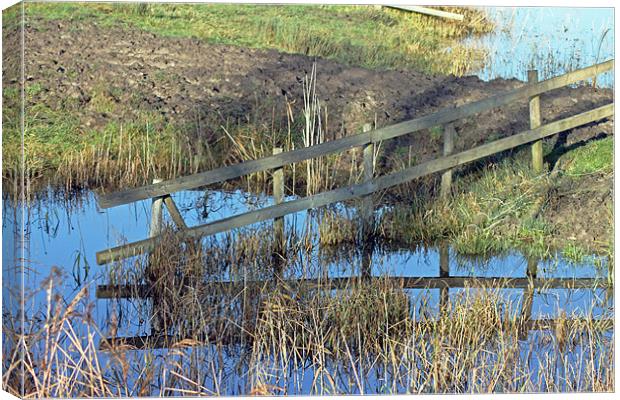 Reflections of Fence Canvas Print by Tony Murtagh