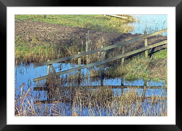 Reflections of Fence Framed Mounted Print by Tony Murtagh