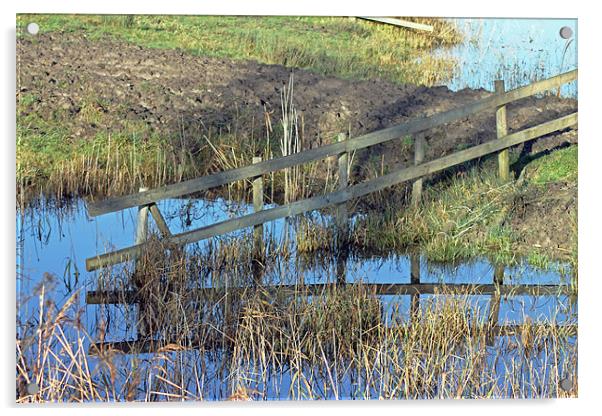 Reflections of Fence Acrylic by Tony Murtagh