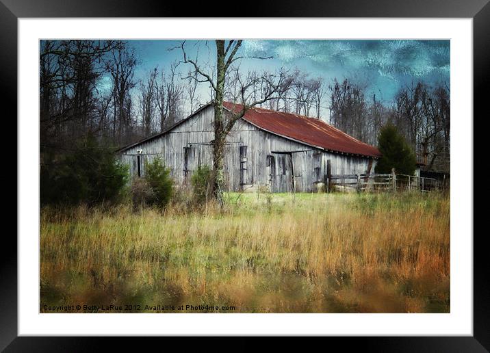 Old Barn Framed Mounted Print by Betty LaRue