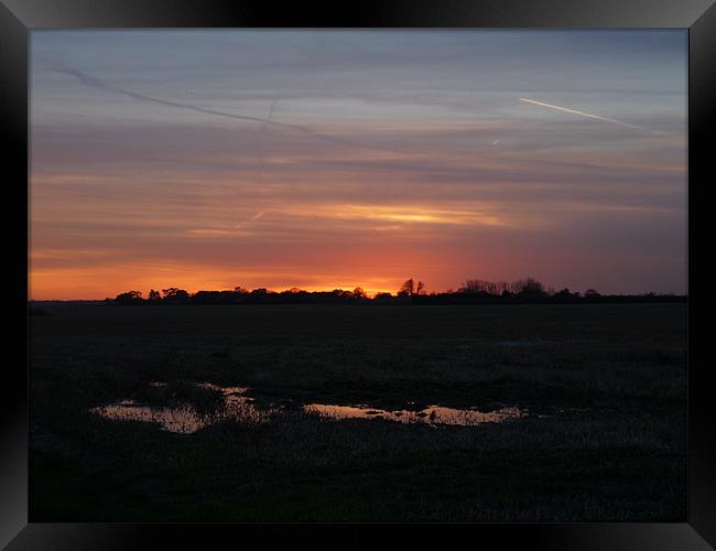 Across The Fields At Sunset Framed Print by Noreen Linale