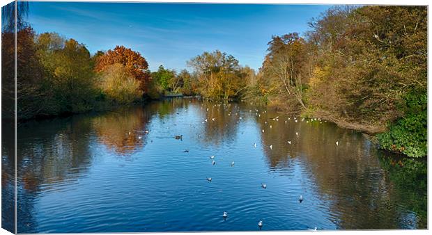 Kelsey Park Lake in Autumn Canvas Print by Dean Messenger