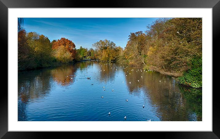 Kelsey Park Lake in Autumn Framed Mounted Print by Dean Messenger