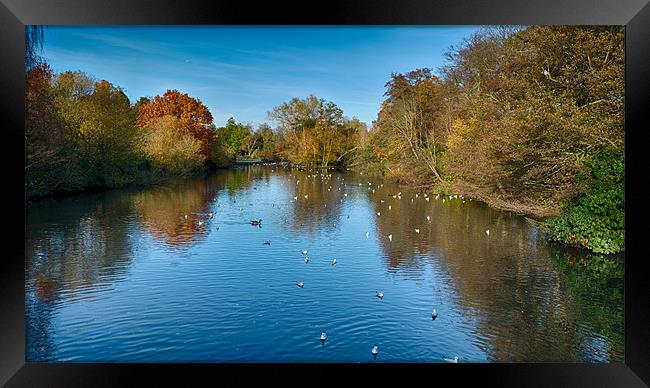 Kelsey Park Lake in Autumn Framed Print by Dean Messenger