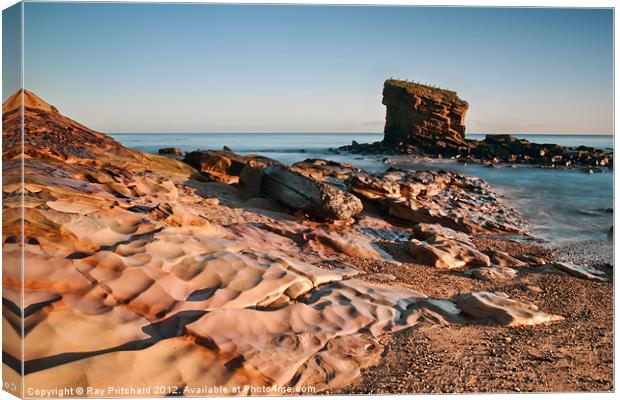Collywell Bay Canvas Print by Ray Pritchard