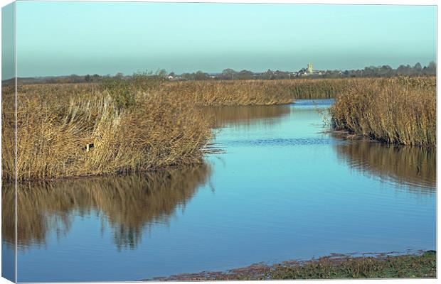 Otmoor Nature Reserve Canvas Print by Tony Murtagh