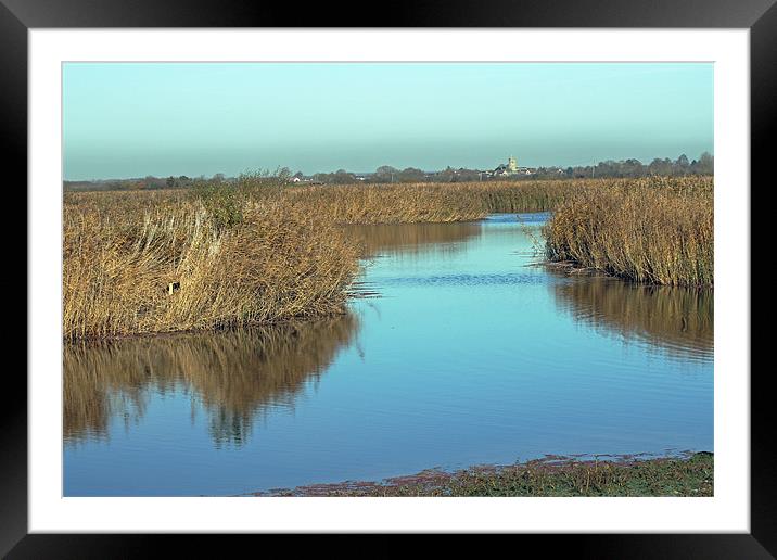 Otmoor Nature Reserve Framed Mounted Print by Tony Murtagh