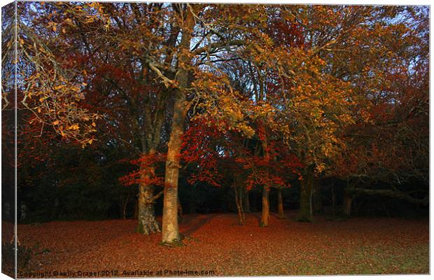 Autumn Colours Canvas Print by kelly Draper