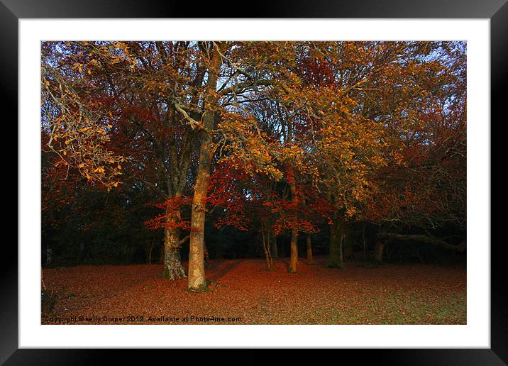 Autumn Colours Framed Mounted Print by kelly Draper