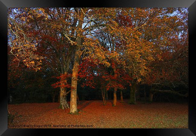 Autumn Colours Framed Print by kelly Draper