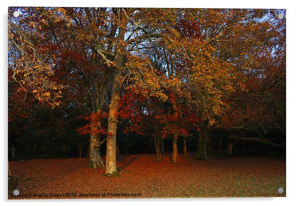 Autumn Colours Acrylic by kelly Draper