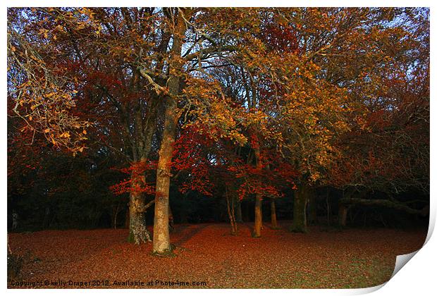 Autumn Colours Print by kelly Draper