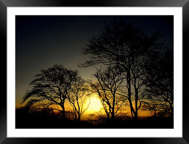 end of day Framed Mounted Print by dale rys (LP)