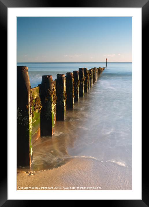 Old Groynes at Blyth Framed Mounted Print by Ray Pritchard
