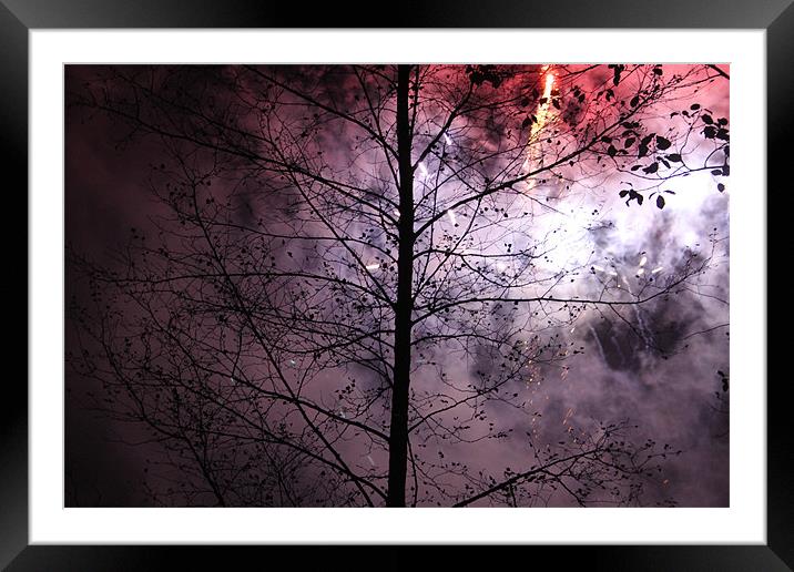 Enlightened Tree Framed Mounted Print by Will Holme