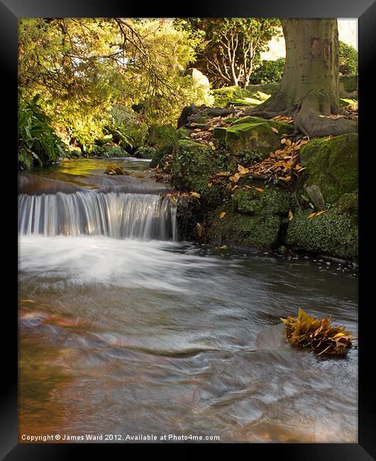 Beddington Park Waterfall Framed Print by James Ward