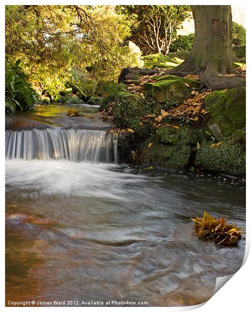 Beddington Park Waterfall Print by James Ward