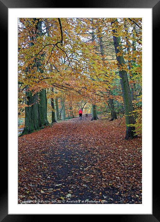 One man and his Dog. Framed Mounted Print by malcolm fish