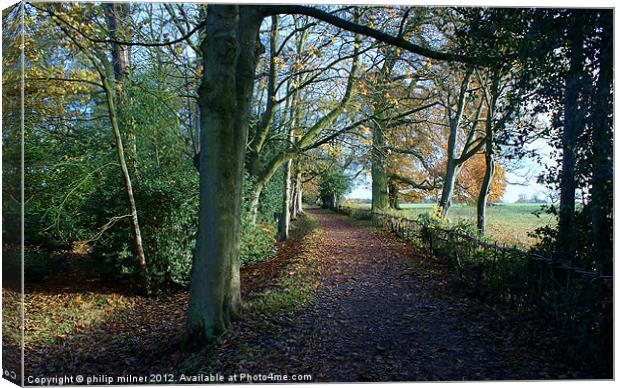 Autumn Walk In The Countryside Canvas Print by philip milner