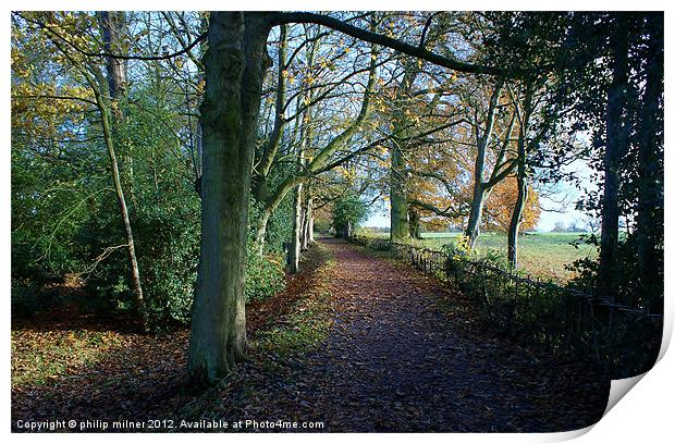 Autumn Walk In The Countryside Print by philip milner