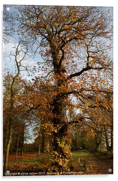 The Tall Chesnut Tree Acrylic by philip milner