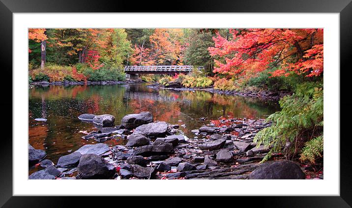 Autumn Bridge Framed Mounted Print by Donna-Marie Parsons