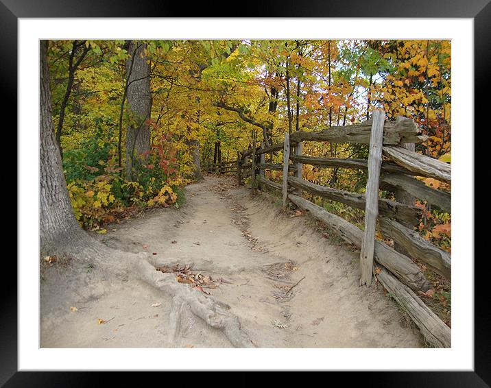 Autumn trail Framed Mounted Print by Donna-Marie Parsons