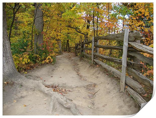 Autumn trail Print by Donna-Marie Parsons