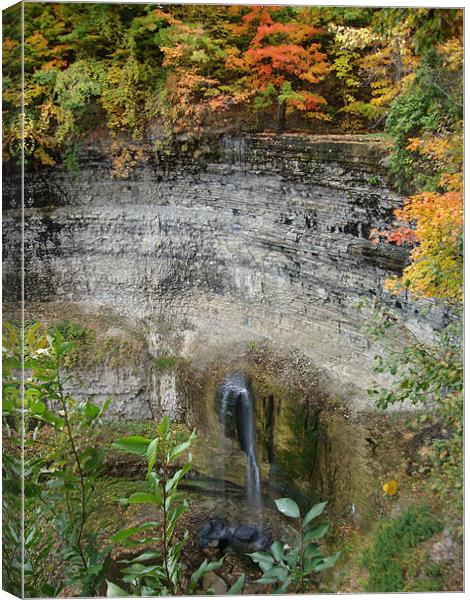 Tews Falls in Autumn Canvas Print by Donna-Marie Parsons