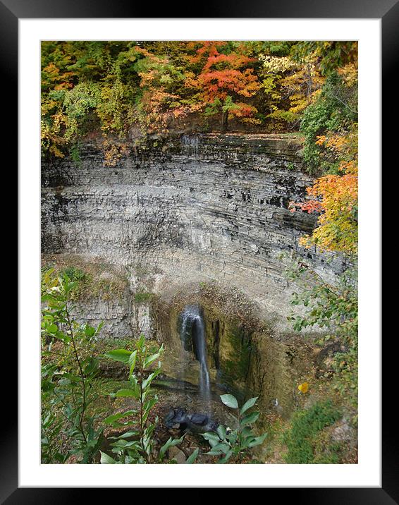 Tews Falls in Autumn Framed Mounted Print by Donna-Marie Parsons