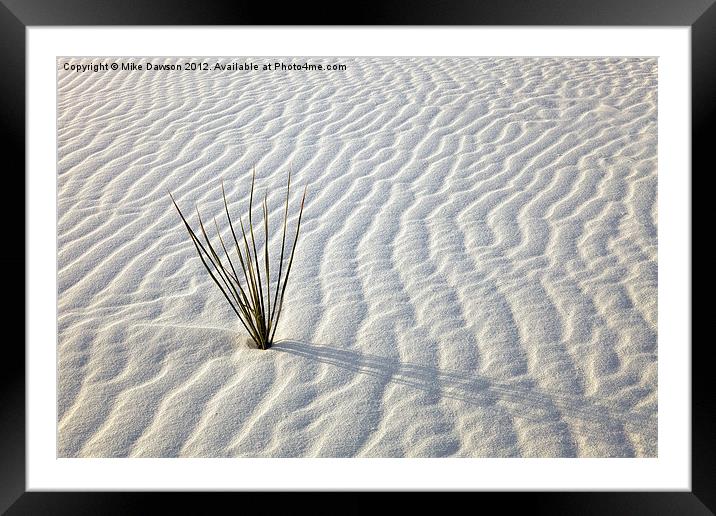 Alone in a Sea of White Framed Mounted Print by Mike Dawson
