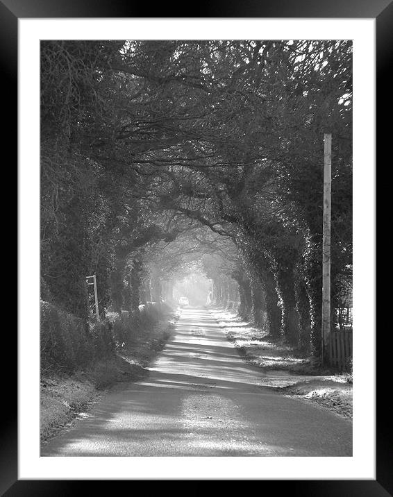 mysterious lane Framed Mounted Print by Shaun Cope