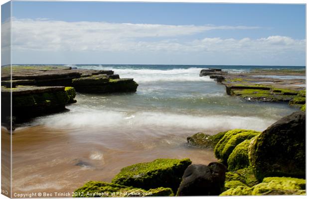 Lunching at Turimetta Canvas Print by Bec Trinick