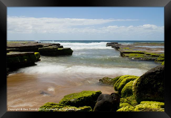 Lunching at Turimetta Framed Print by Bec Trinick