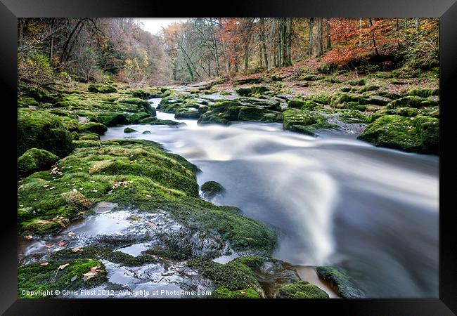 The Enchanted Strid Framed Print by Chris Frost