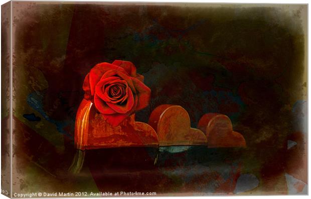 Red rose Canvas Print by David Martin