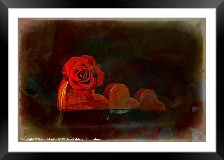 Red rose Framed Mounted Print by David Martin