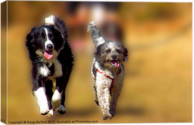 two dogs Canvas Print by Doug McRae