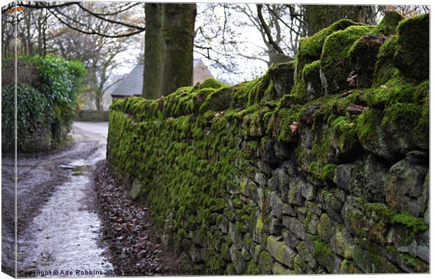Mossy Stone Wall Canvas Print by Ade Robbins