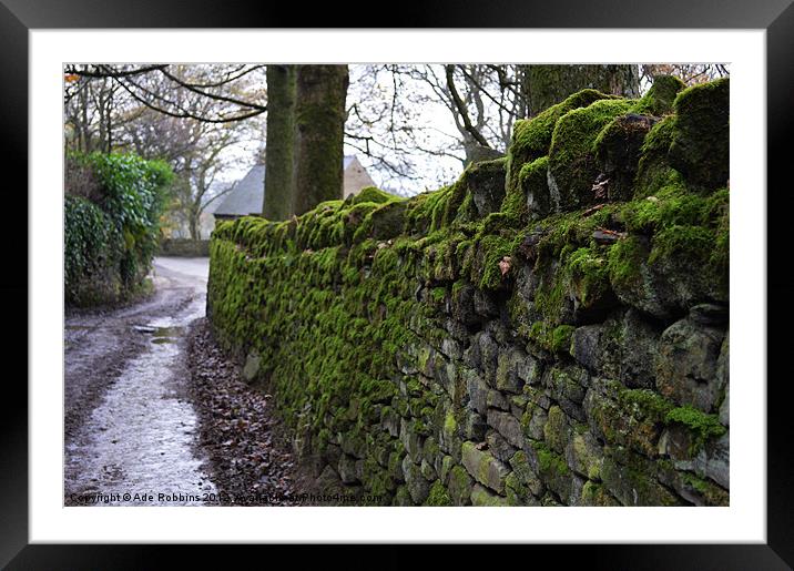 Mossy Stone Wall Framed Mounted Print by Ade Robbins