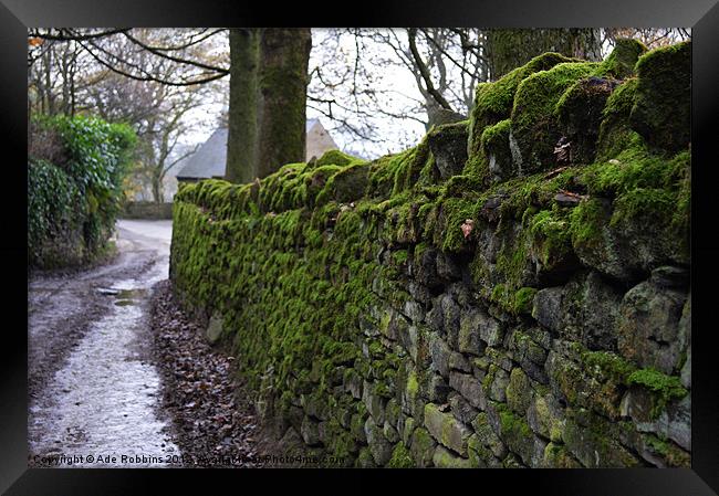 Mossy Stone Wall Framed Print by Ade Robbins