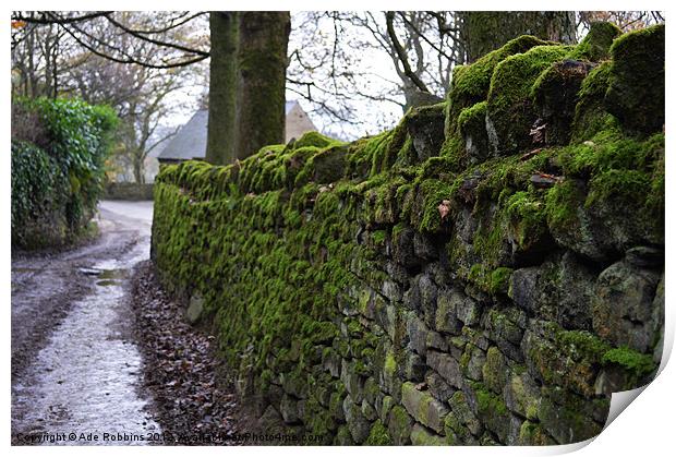 Mossy Stone Wall Print by Ade Robbins