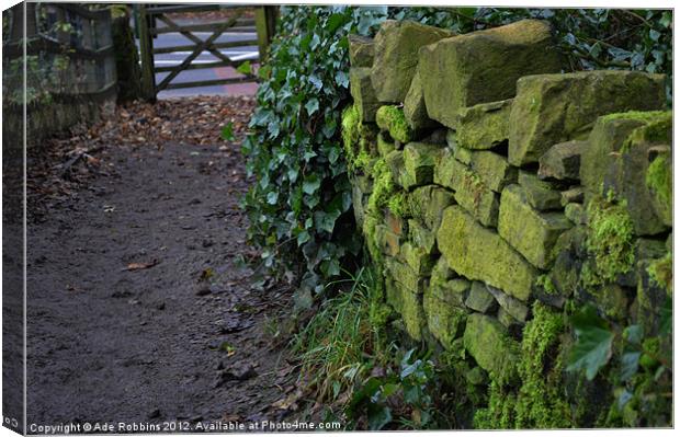 Mossy Pathway Canvas Print by Ade Robbins