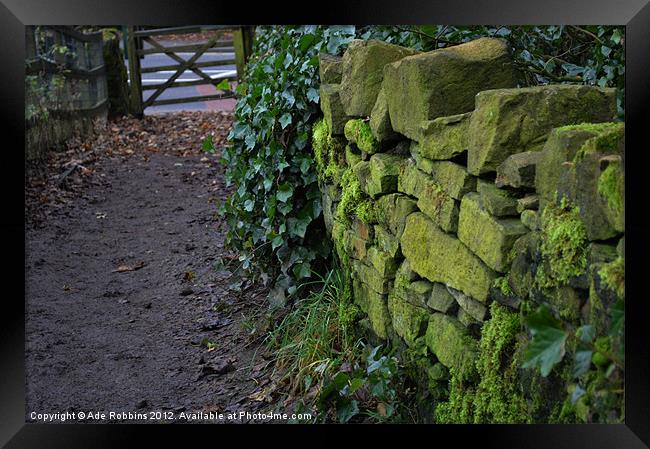 Mossy Pathway Framed Print by Ade Robbins