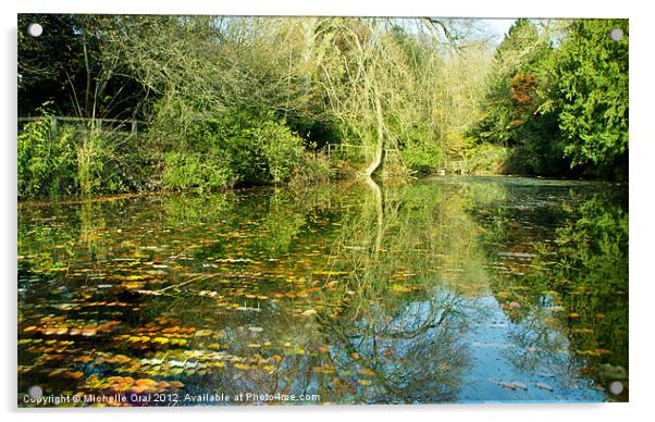 Silent Pool Surrey Acrylic by Michelle Orai