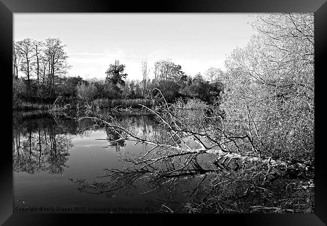 Blashford Lakes Framed Print by kelly Draper