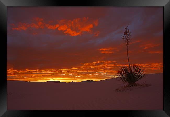 White Sands Sunset  Framed Print by Thomas Schaeffer