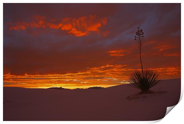 White Sands Sunset  Print by Thomas Schaeffer
